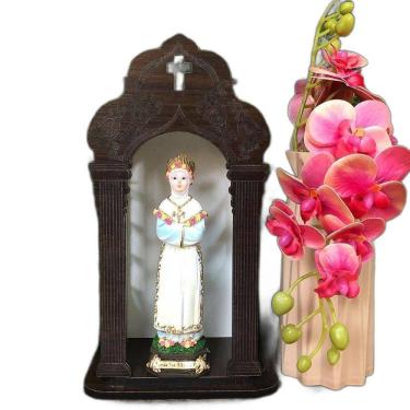 Imagem de Imagem Nossa Senhora De La Salette Resina 16 Cm