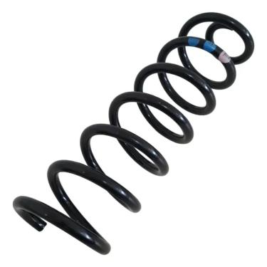 Imagem de Renault Sandero 1Un Mola Suspensão Traseira Genuíno