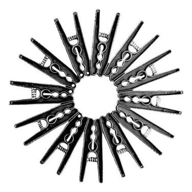 Imagem de 2X 12 Prendedores De Roupa Grande Pregador Resistente Plásti