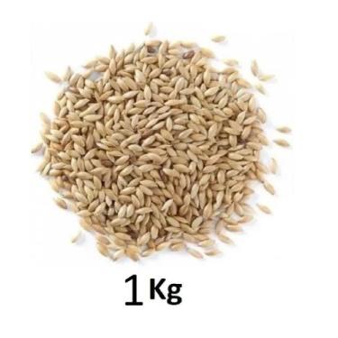 Imagem de Alpiste Polido Limpo Aves Pássaros Sementes Pacote 1, 3, e 5 Kg Limpa 