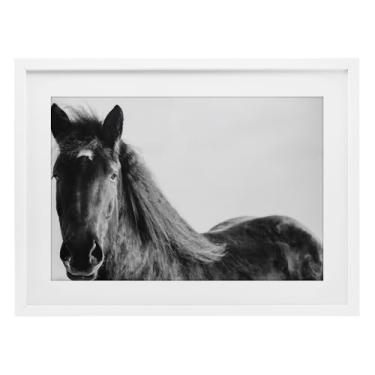 Imagem de Stupell Industries Cavalo Preto no Inverno Impressão Emoldurada Branco Design sob Vidro por Amy Carroll, 14 x 20