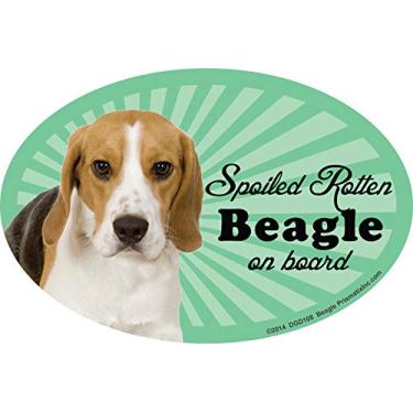 Imagem de Prismatix Decal Ímãs de carro Beagle: Spoiled Rotten Beagle - Oval 15 cm x 10 cm Auto/caminhão/geladeira/caixa de correio (decalques de carro engraçados, ímã de cachorro, beagle)