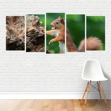 Imagem de Quadro Animais Esquilo Roedor Canvas