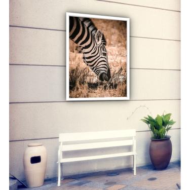 Imagem de Quadro Decorativo Zebra Comendo Fotografia  - 70x50cm