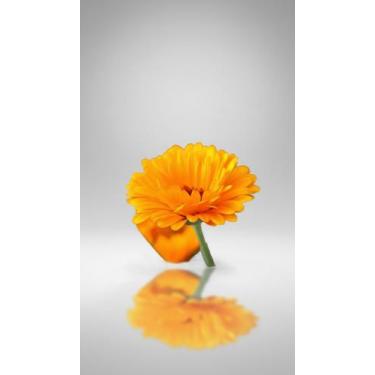 Imagem de Chá de Calêndula Flores 50g - Congratulations Store