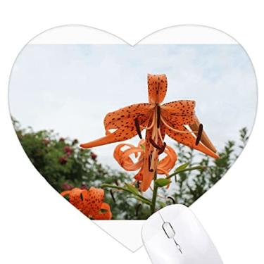 Imagem de Orange River Lily Art Deco Mouse pad moderno coração tapete de borracha para escritório