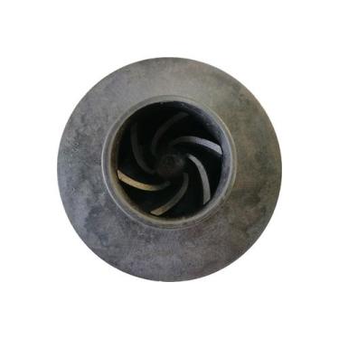 Imagem de Rotor 1/3 pentair - SIBRAPE