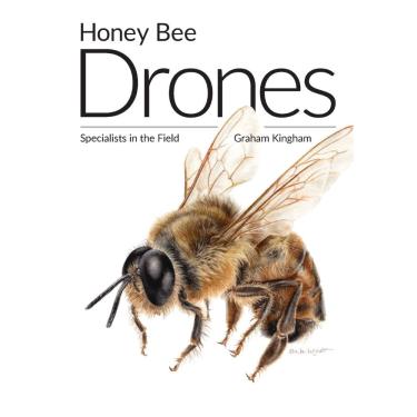 Imagem de Honey Bee Drones
