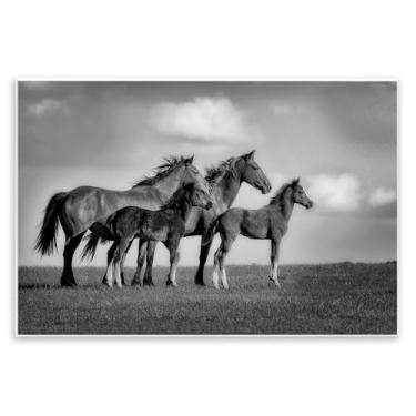 Imagem de Stupell Industries Babies On Board Horse Family Wall Plaque Design de Wendy Caro, 13 x 19