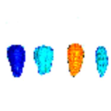 Imagem de Molde De Silicone Verdura, Legumes, Fazenda