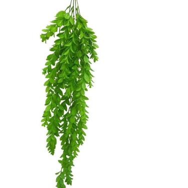 Imagem de Buque De Complemento Verde Verde