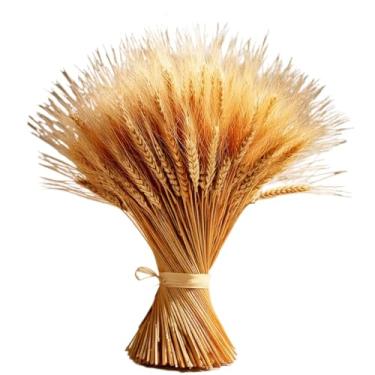 Imagem de Flores Secas de Trigo Hastes Decoração Sala Casamento Festa Buquê Convite Arranjo Mesa Para Amantes de Decoração e Organizadores(50)