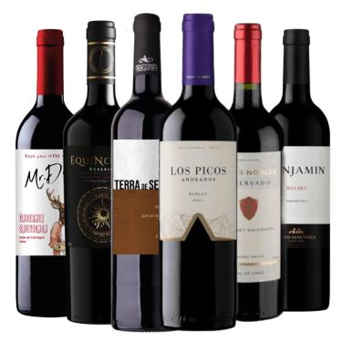 Imagem de Kit 6 Vinhos Tintos Essenciais