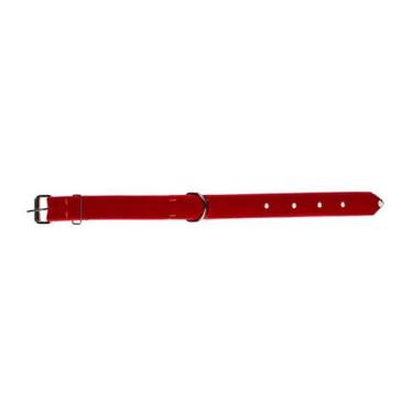 Imagem de COLEIRA DE CAMURÇA COM ARGOLA 40mm - Nicapet, 5