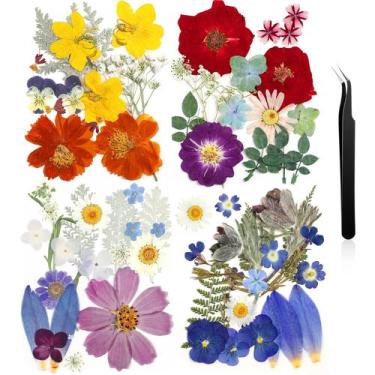 Imagem de Flores prensadas Nuanchu Dried Flower Crafts com pinça 68 unidades