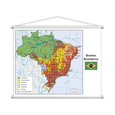 Imagem de Banner Mapa Escolar Biomas Brasileiros Geografia 100X80Cm - Plimshop
