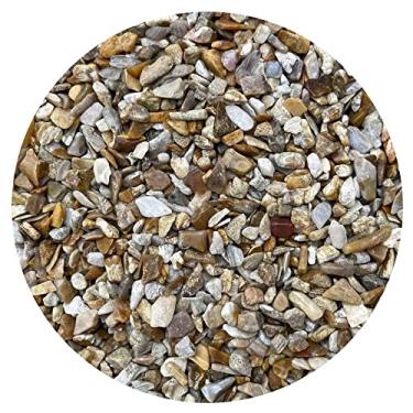 Imagem de Chips de pedra preciosa de coral fóssil natural de 200 g, mini cistais triturados de coral fóssil e formas irregulares, lascas de cristal não perfuradas (coral fósseis)