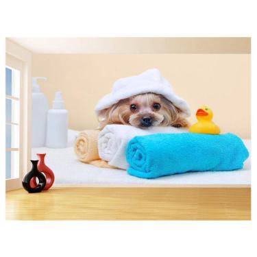 Imagem de Papel De Parede Animal Cão Petshop Banho Tosa 3,5M Anm378