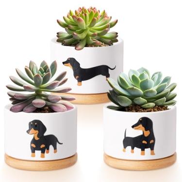 Imagem de Vesici 3 vasos de suculentas de dachshund com drenagem e bandeja de bambu, pequenos vasos de suculentas de cerâmica para mini plantas, cacto, animal, planta, vaso para escritório, decoração de casa