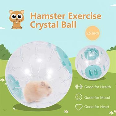 Imagem de Exercício de Hamster Correndo Cristal Claro para Hamsters Camundongos Pequenos Pets Brinquedo Interativo e Tempo Brincadeiro