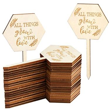 Imagem de AnyDesign 36 peças Todas as coisas crescem com etiquetas de amor Etiquetas de suculentas hexágono, etiquetas de estacas de madeira, marcador de jardim, placa de planta para professores em vasos, presente de agradecimento de professores de Ação de Graças, chá de bebê