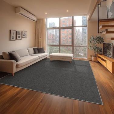 Imagem de Tapete P/Sala Lumiere N Cinza Grafite 2,50x3,00 São Carlos