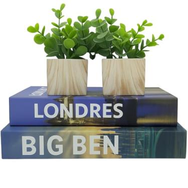 Imagem de Kit Livros Decorativos Mesa de Centro+Vasos Vidro c/Planta