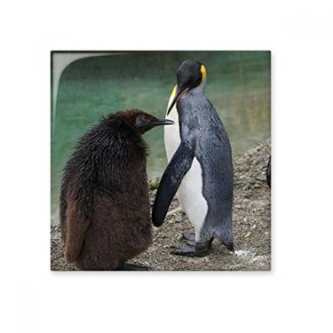 Imagem de Pedra adornante de tijolo vitrificado com imagem da natureza do pinguim da Antártica frio do mar