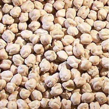 Imagem de GRÃO DE BICO 1KG