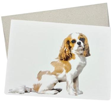 Imagem de Cartão de aniversário Cavalier King Charles Spaniel (12 x 17 cm e em branco dentro) Cavalier King Charles no cartão para obter bem, aniversário ou pensar em você - 287