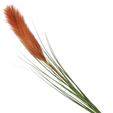 Imagem de Haste Pluma Capim Dos Pampas Artificial 100cm