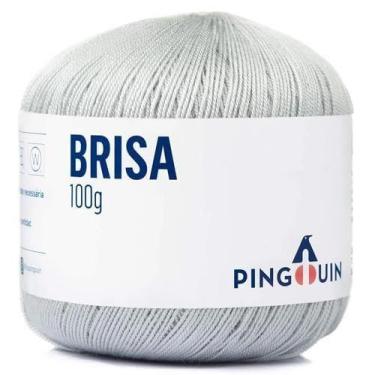 Imagem de Linha Brisa Verão 100g - Pingouin, 0856 - PLATINUM