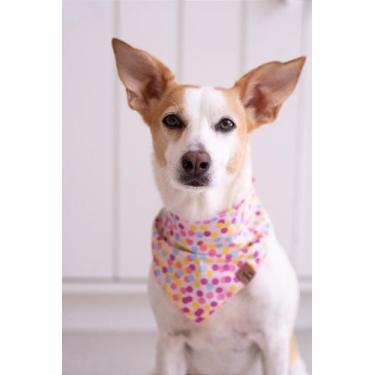 Imagem de Bandana Confete - BenDog, P