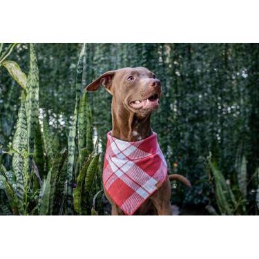 Imagem de Bandana Paradise para Pet - BenDog, GG