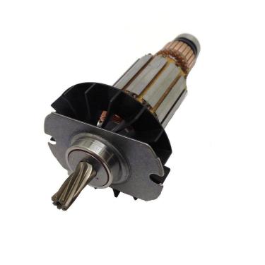 Imagem de Induzido 220V Bosch Gbh-2-24