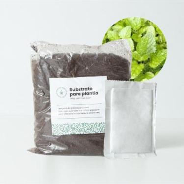 Imagem de Sementes de Ervas para Cultivar | Sanchz Design 16x11x6cm