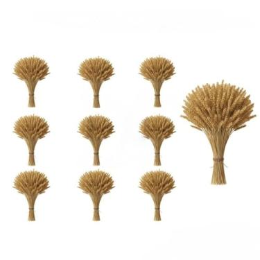 Imagem de 400 Hastes De Trigo Seco Para Decoração Festa Junina Arraiá Enfeites Artigos Mesa Arranjo Elegante(10 Maços (400 Hastes))