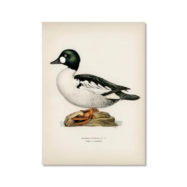 Imagem de Pôster de arte de parede vintage com estampa de pato rústica, pássaros, lago, natureza, retrô, pintura, quadros, decoração de quarto de fazenda (SKU10,20 x 71,1 cm = (50 x 70 cm), sem moldura)