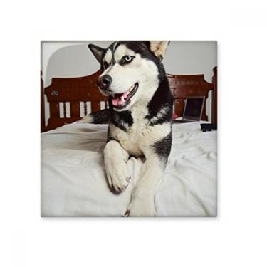 Imagem de Pedra adorna de tijolos vitrificados com imagem de Husky para quarto de cachorro