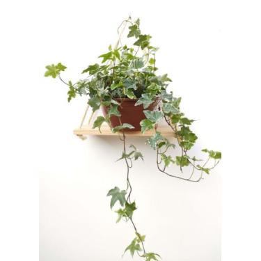 Imagem de Prateleira de Madeira Pinus Corda Sisal Decoração Casa - DW Confecções