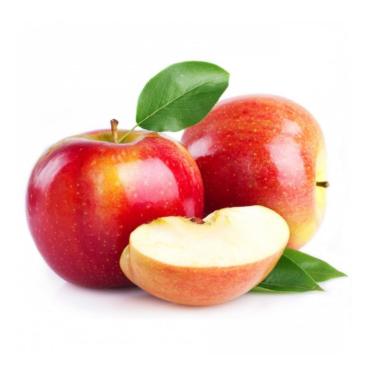 Imagem de Muda de Maçã Gala Enxertada - Rápida Produção - Produz em Vasos