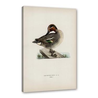 Imagem de Pôster de arte de parede vintage com estampa de pato rústica, pássaros, lago, natureza, retrô, pintura, quadros, decoração de quarto de fazenda (SKU6,20.3x30.5 cm = (20x30cm), emoldurado (tela