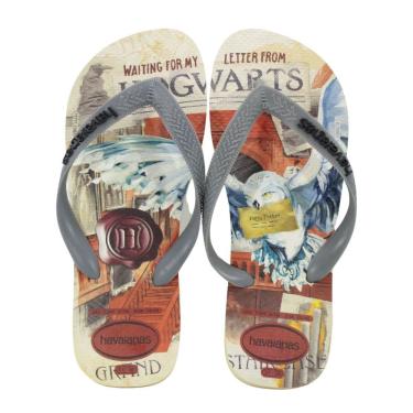 Imagem de Chinelo Havaianas Top Clássicos Warner Harry Potter Cinza
