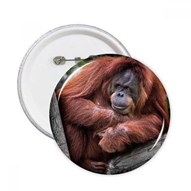 Imagem de Emblema de organismo terrestre animais selvagens orang-utan alfinetes redondos para decoração 5 peças