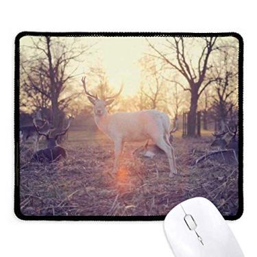 Imagem de Mousepad Sheep Forestry Science Nature Tapete de borracha para jogos