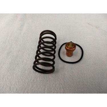 Imagem de Reparo Válvula Termostática Metalplan Totalpack 100 Similar - Arcompri