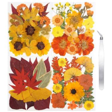 Imagem de CONVELIFE 68 unidades de flores prensadas secas no outono com pinça