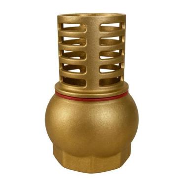 Imagem de Válvula de Retenção para poço com Crivo 2.1/2" em Latão - IPC