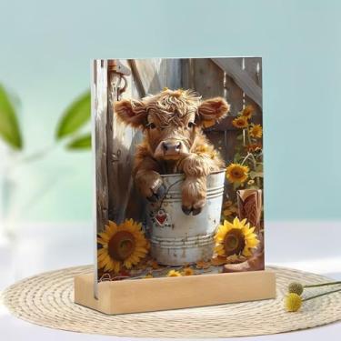 Imagem de Panturrilha no balde com bota de girassóis decoração de mesa de acrílico (15 x 9,9 cm) - escolha de presente ideal para decoração de casa na sala de estar ou no escritório