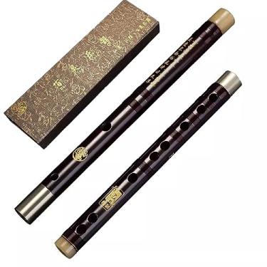 Imagem de gravador instrumento gravador soprano gravador alto pífano de duas seções, sem tonalidade, estudantes, adultos, iniciantes, tocando instrumentos musicais /316